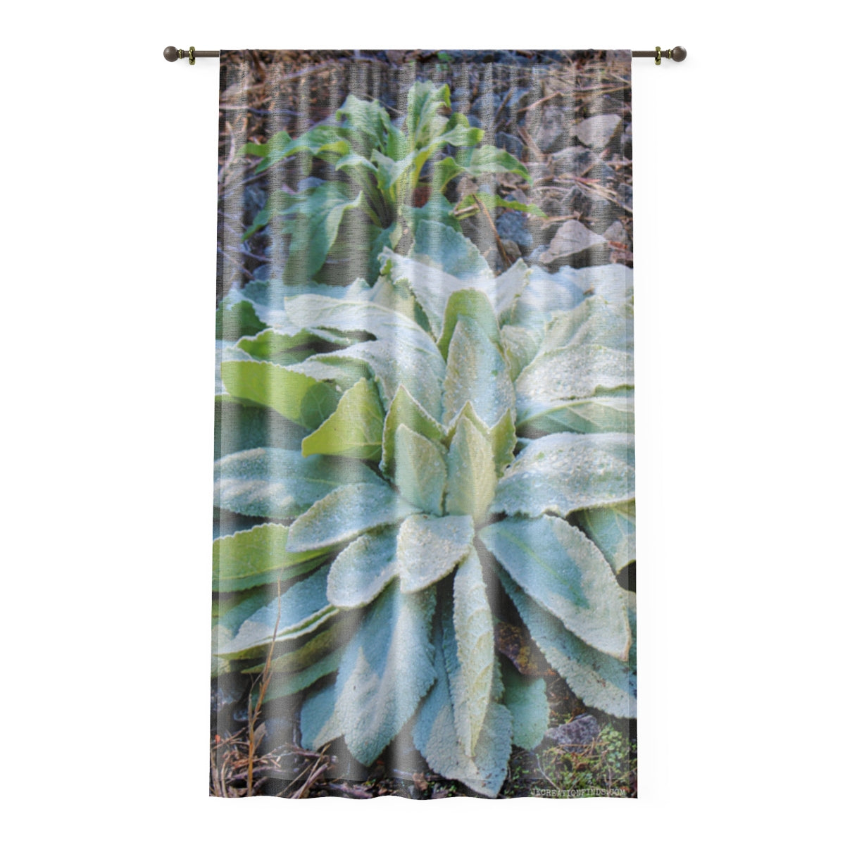 Lamb's Ear Window Curtain, Morning Dew Drops Pattern, Nature Inspired, Modern Home Decor, Unique Window Coverings, Botanical Print, Garden