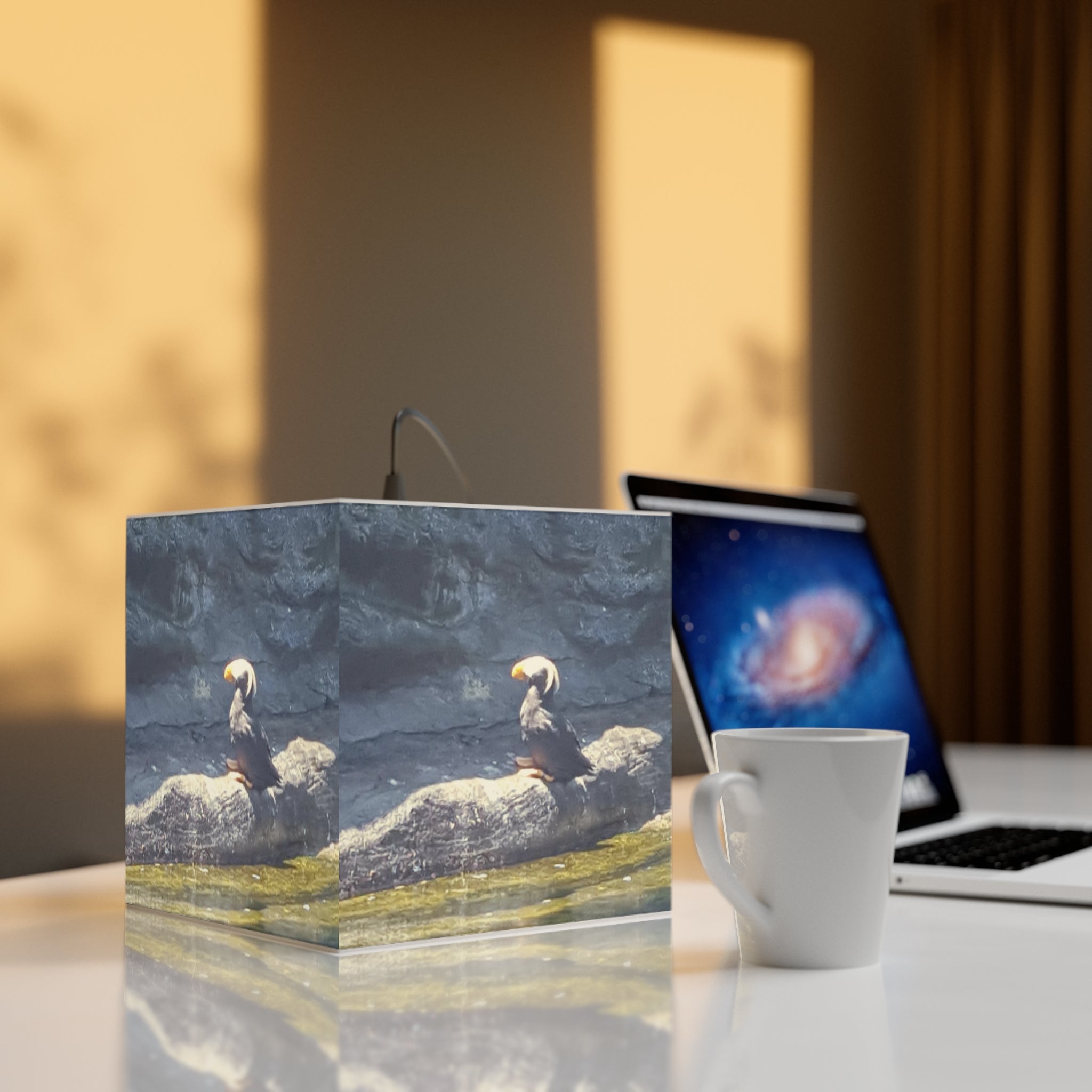 Tufted Puffin Bird Rock Water Display Cube Art product type