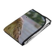 Falcon Design Windshield Sun Shade Car Accessory