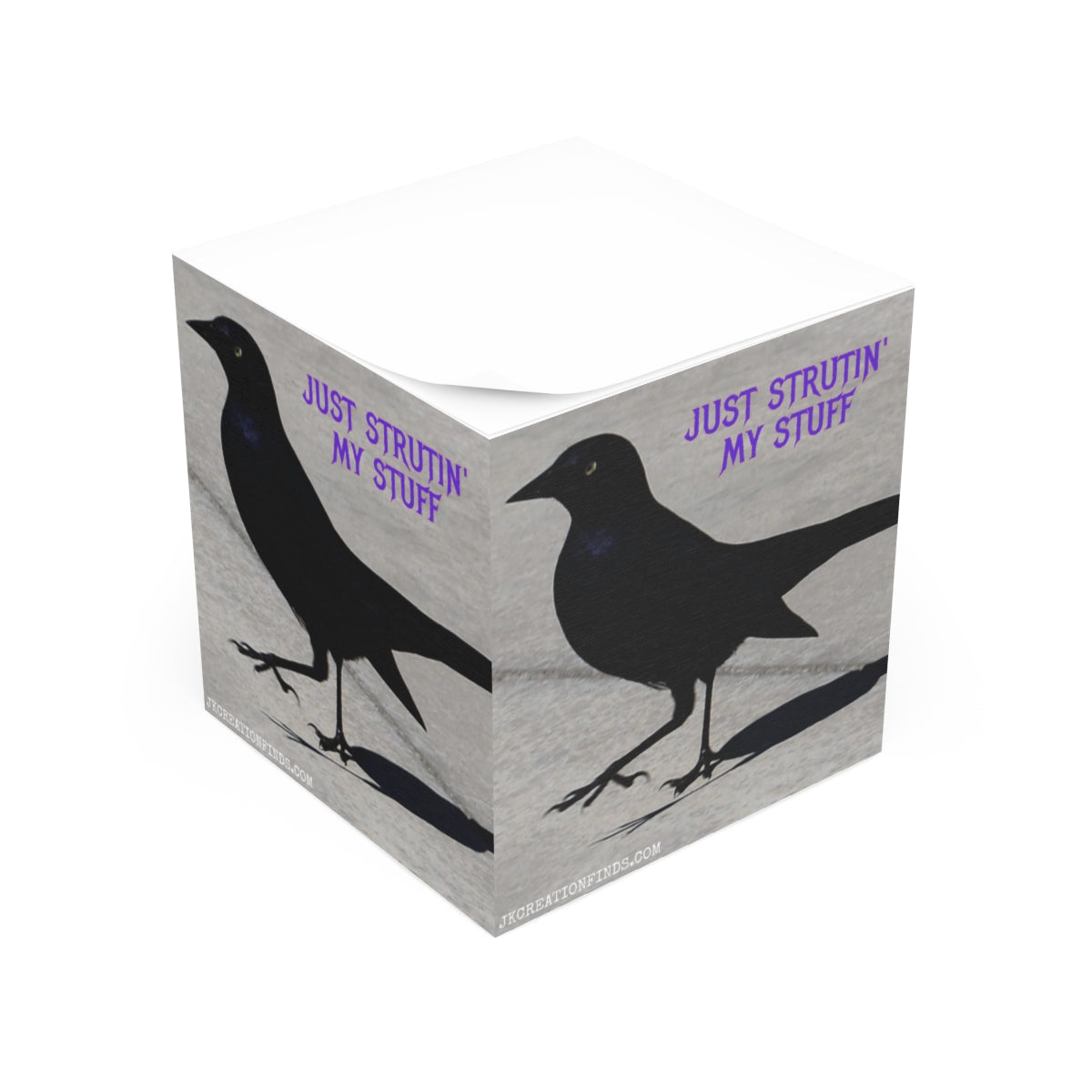 Just Strutin' My Stuff Black Bird Art Display Box