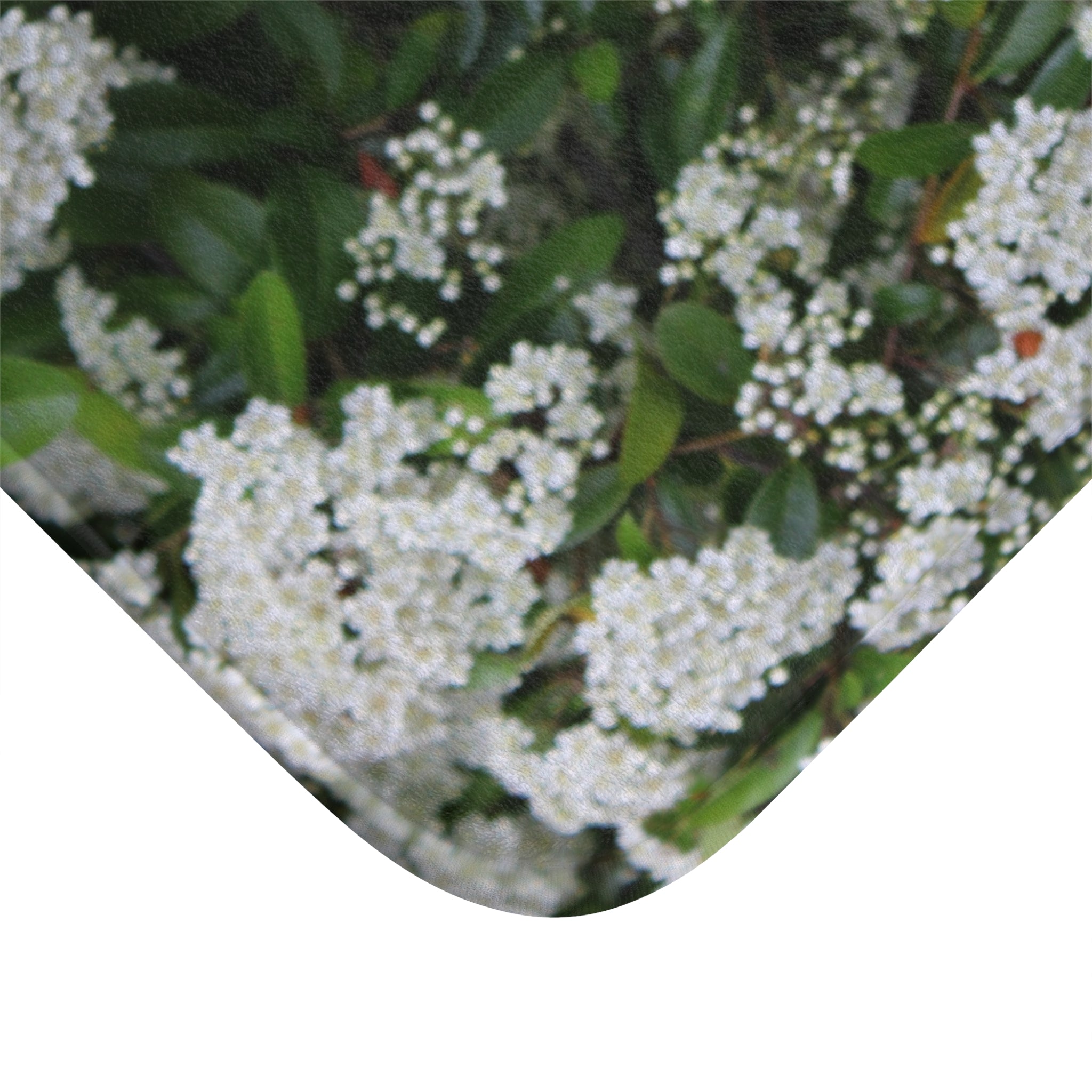 White Blossoms on Green Background Pattern product