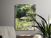 Lush Forest Creek Wall Art for Living Room product type