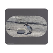 b4dd5aab-03ee-4ee8-a555-f7c2c55b3198