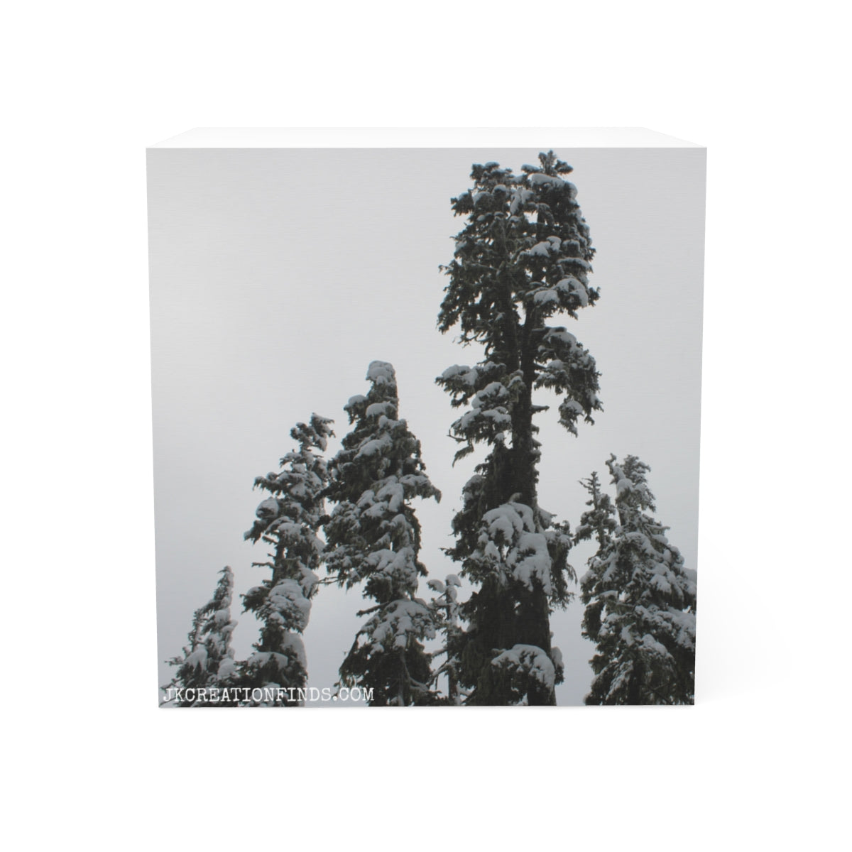 Snow Covered Trees in Winter Wonderland Art Print