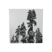 Snow Covered Trees in Winter Wonderland Art Print
