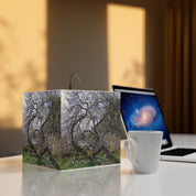 Intricate Bare Trees Mossy Green Foliage Forest Scenery product type