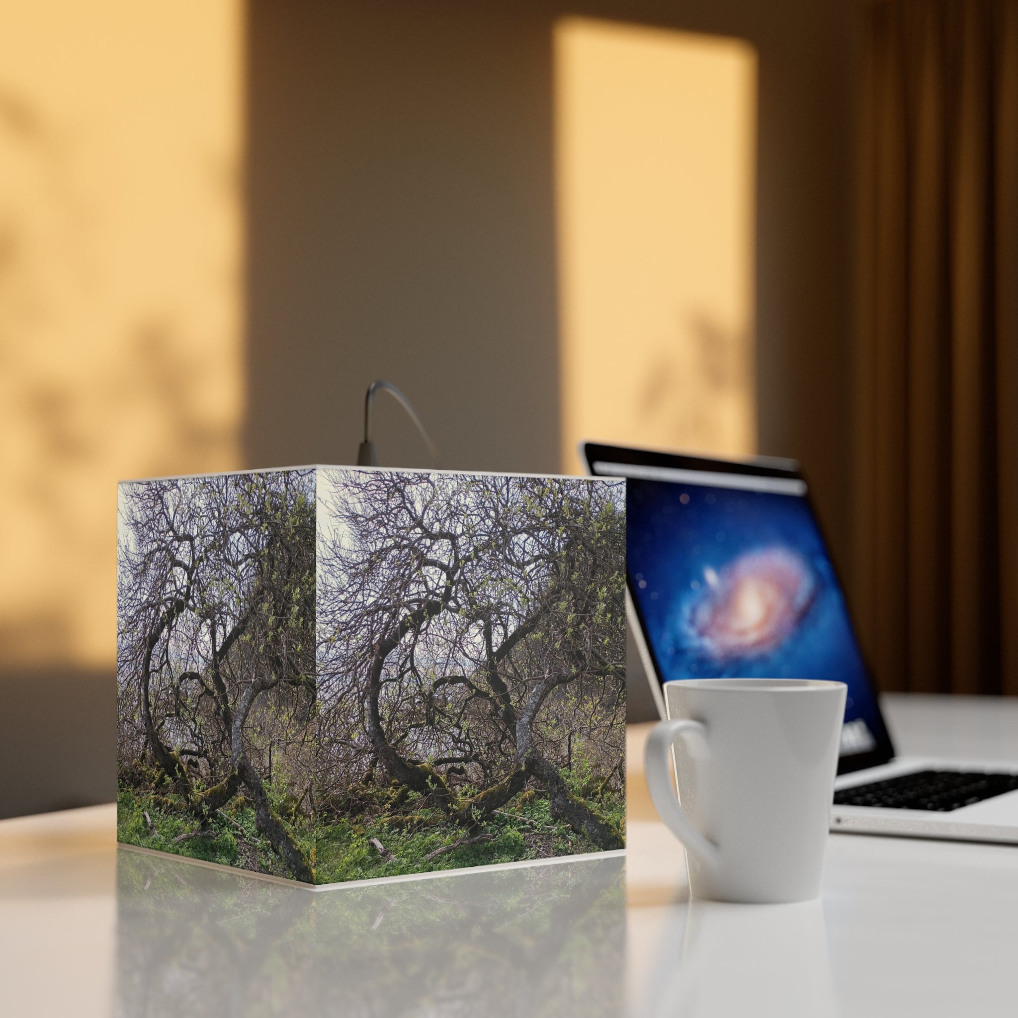 Intricate Bare Trees Mossy Green Foliage Forest Scenery product type