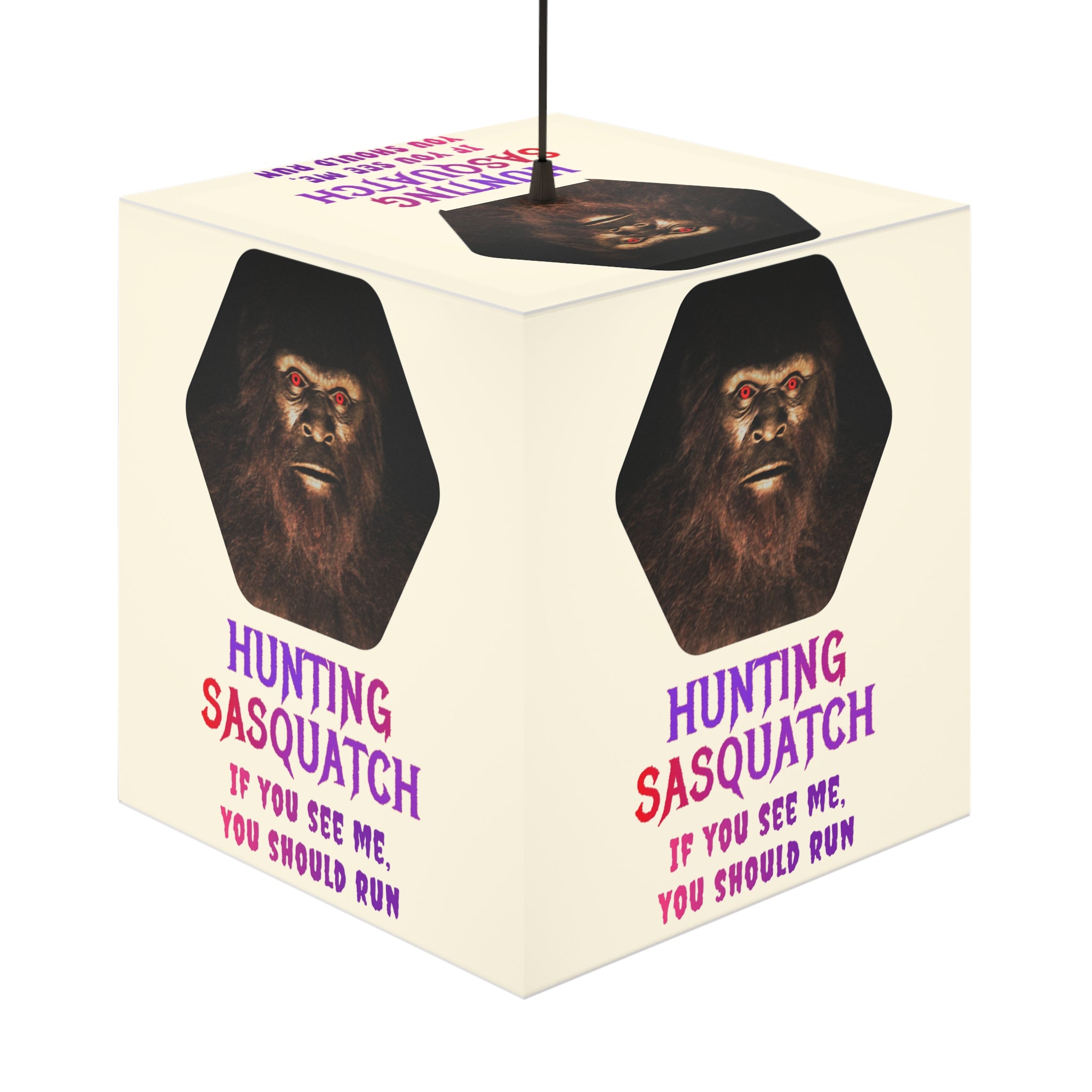 Hunting Sasquatch If You See Me You Should Run product type