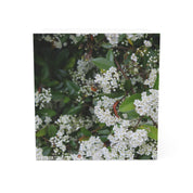 Blossoming White Flowers on Green Foliage canvas