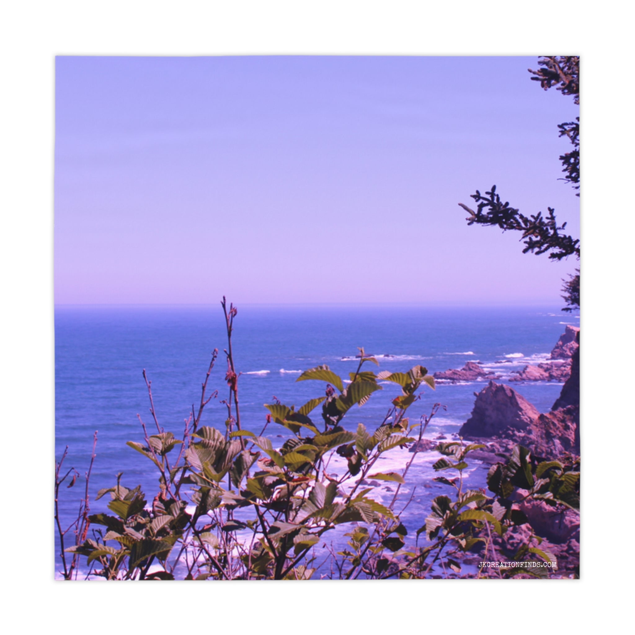 Ocean view with coastal plants and rocks in foreground.