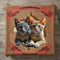 Two kittens peeking through ripped paper, with "FRIENDSHIP IS FOREVER" text.