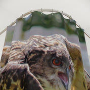Majestic Owl Close-Up Shower Curtain for Bathroom Decor