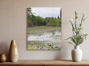 Serene Water Lily Pond Artistic Canvas product type