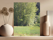 Serene forest and meadow nature scene canvas product