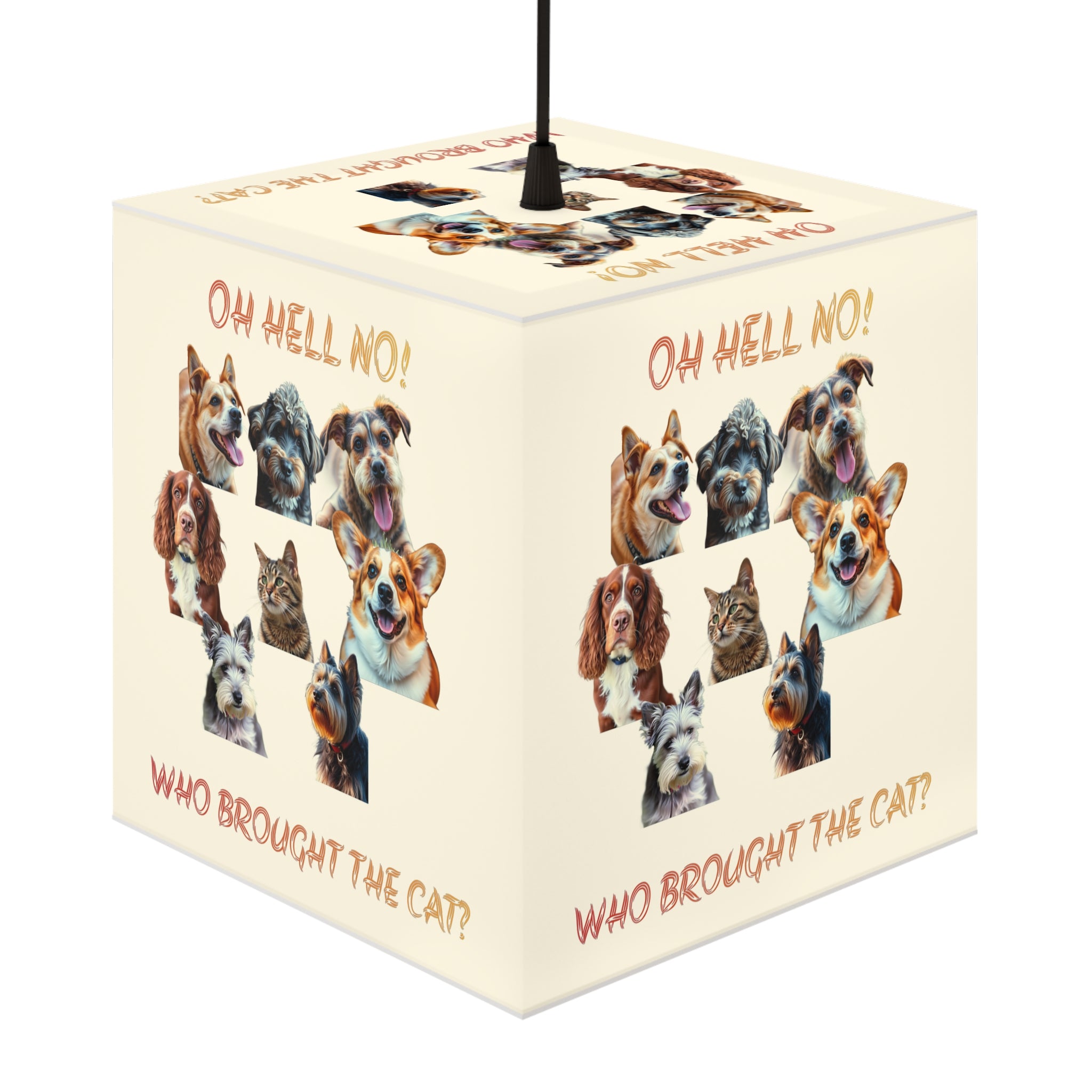 OH HELL NO WHO BROUGHT THE CAT Funny Pets Decor product type