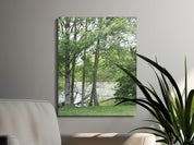 Serene River View Through Trees Wall Art product type