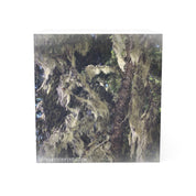Forest Tree Moss Nature Photography Block Art Decor