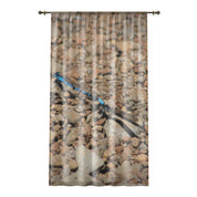Blue Dragonfly on Pebbled Ground Artistic Curtain