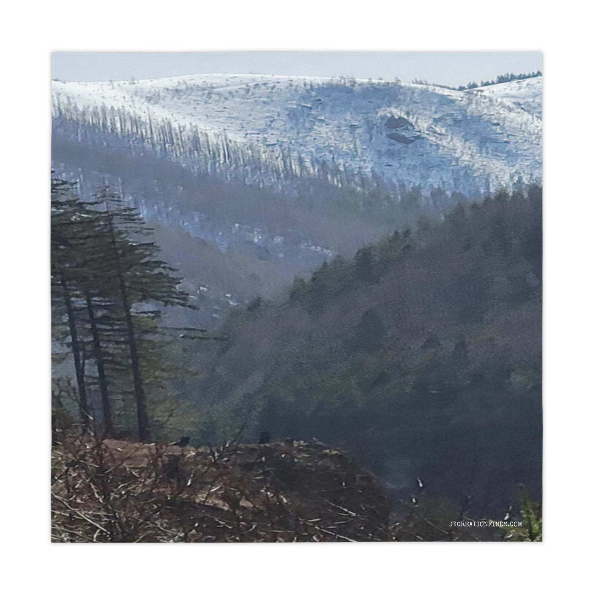 Snow-capped mountains and dark evergreen trees in a misty, wooded valley.