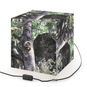 Raccoon Tree Hollow Forest Wildlife Scene Cube Light Box product type