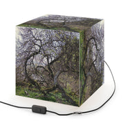 Tangled Tree Forest Nature Scene Lamp Cube product type