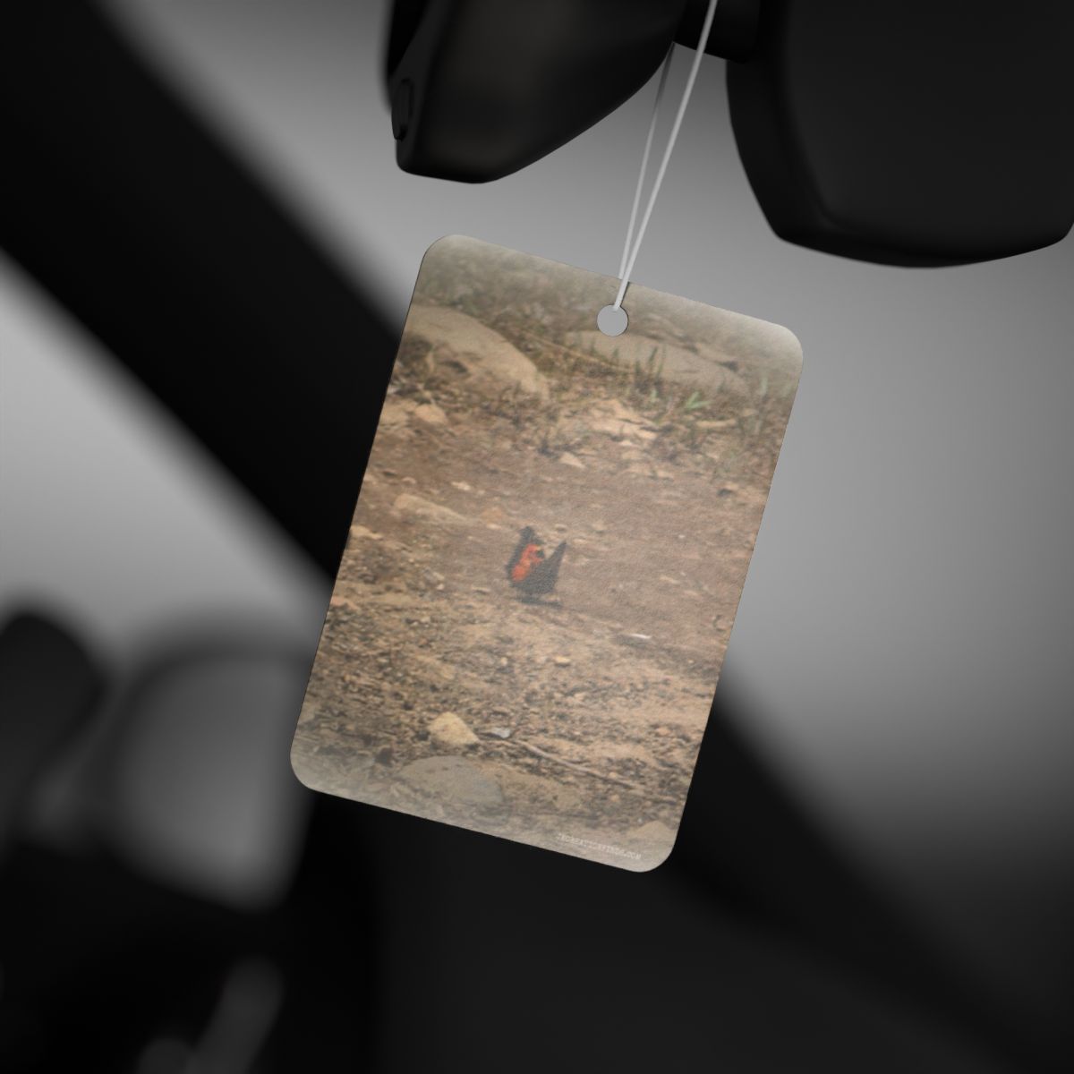 Scenic Butterfly Air Freshener Hanging in Car