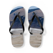Flip-flops with a landscape scene featuring distant figures on a beach.