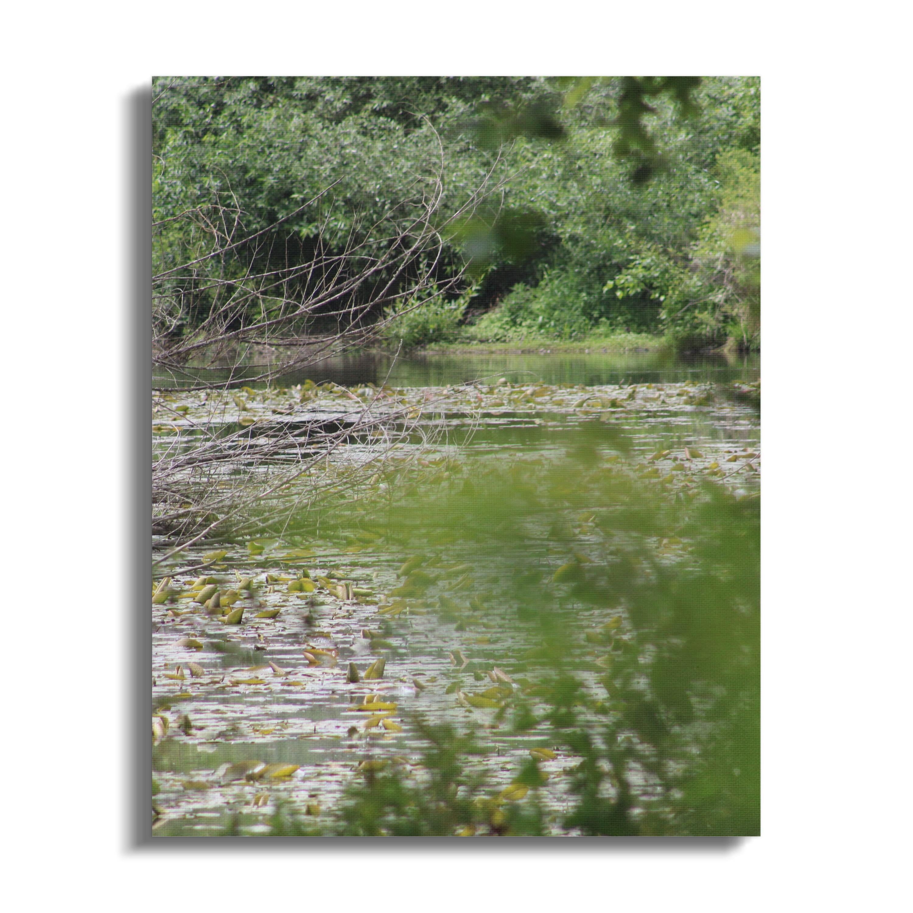 Serene Green Forest Lake Landscape Canvas product