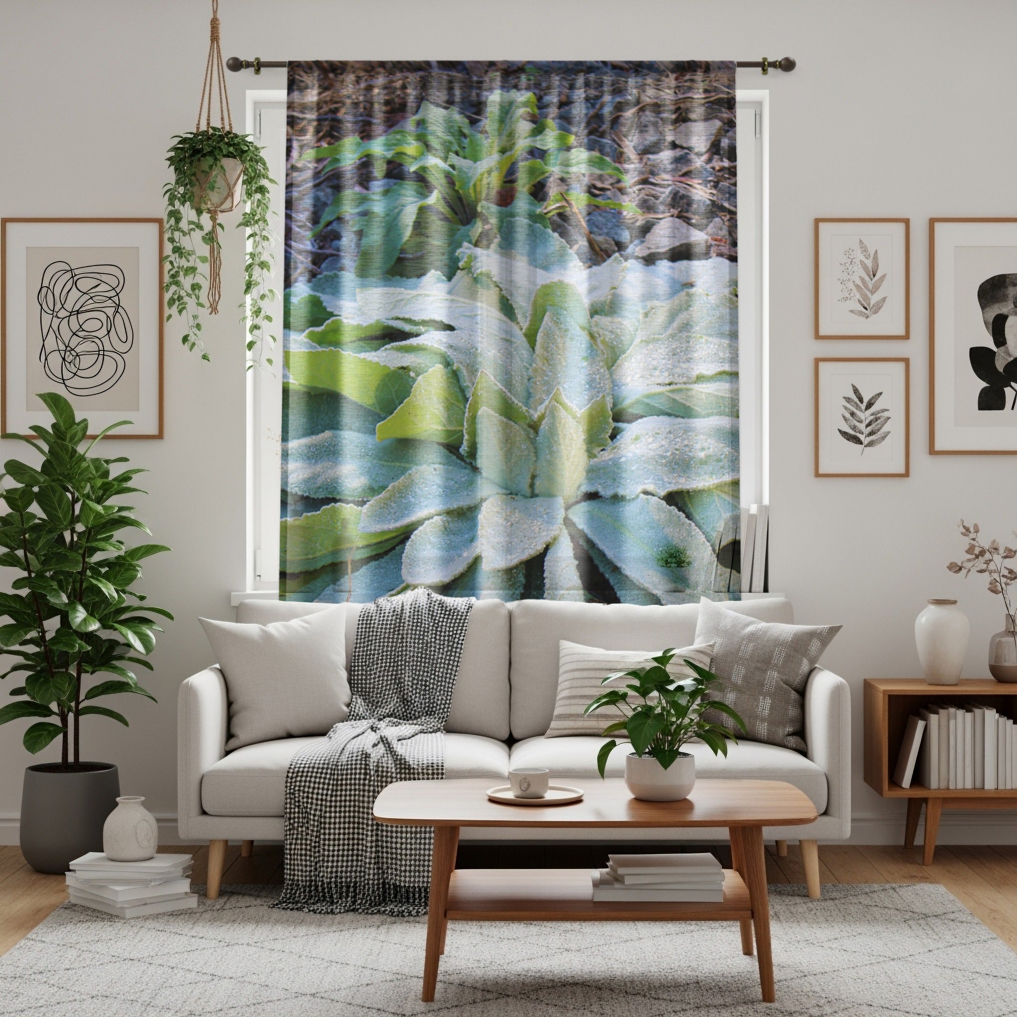 Lamb's Ear Window Curtain, Morning Dew Drops Pattern, Nature Inspired, Modern Home Decor, Unique Window Coverings, Botanical Print, Garden