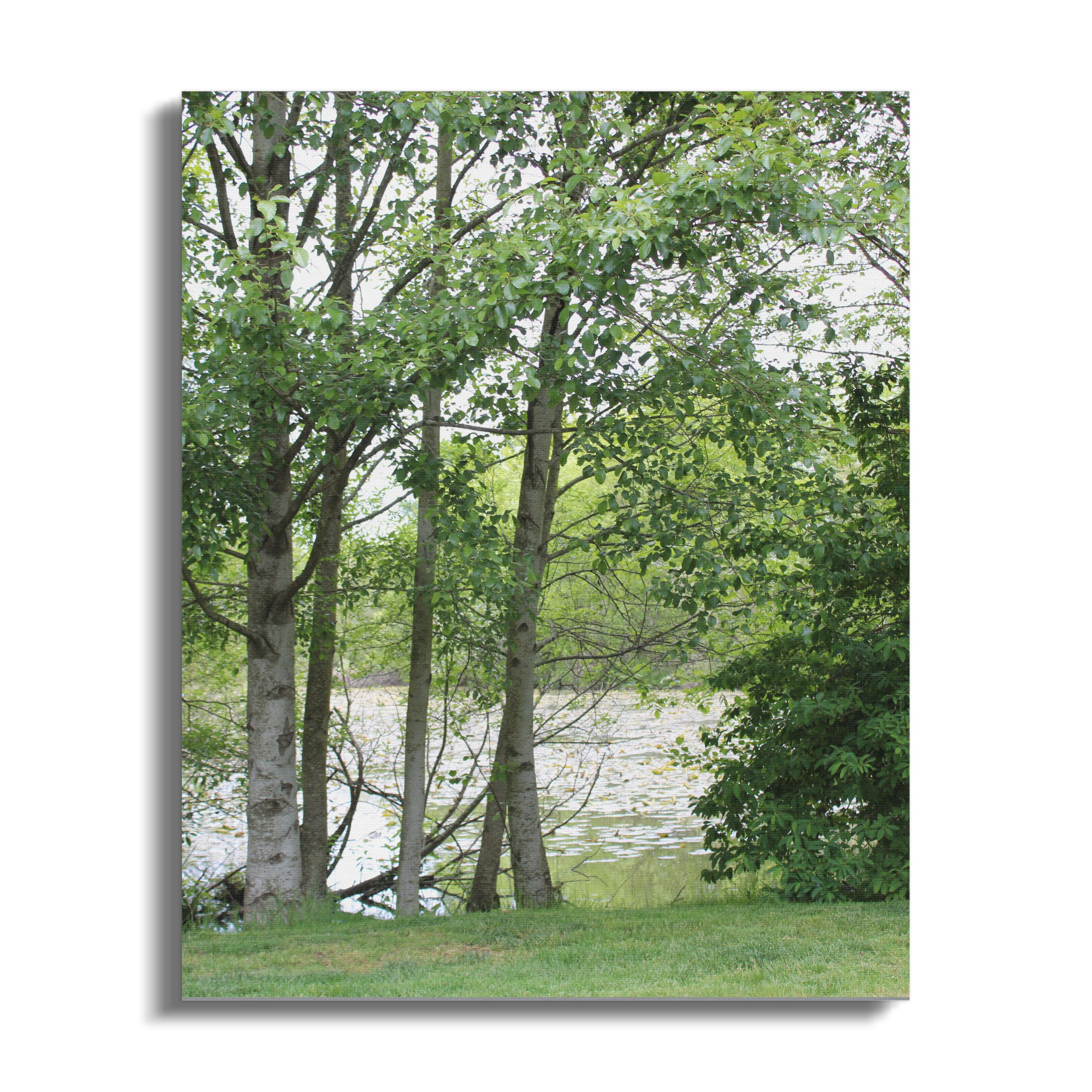 Scenic Nature Trees by the Lake Wall Art product