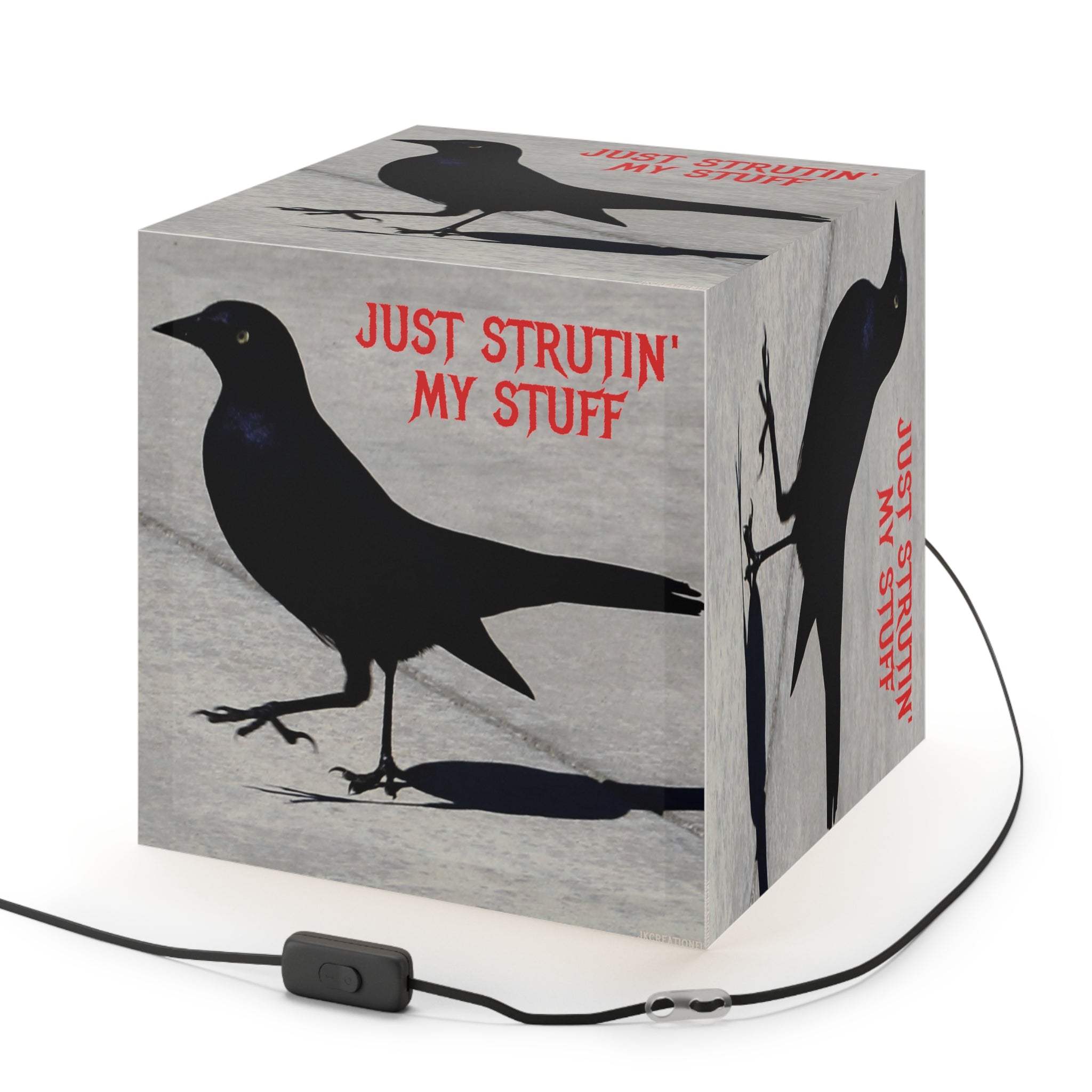 Just Strutin' My Stuff Black Bird Design Accent Light product type