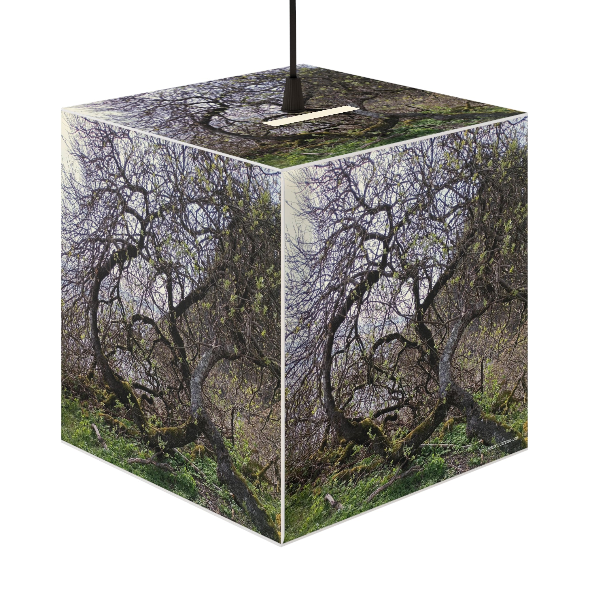 Intricate Bare Tree Branches Green Mossy Ground Lamp Shade product type