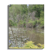 Serene Forest Lake with Lily Pads Canvas Art product type