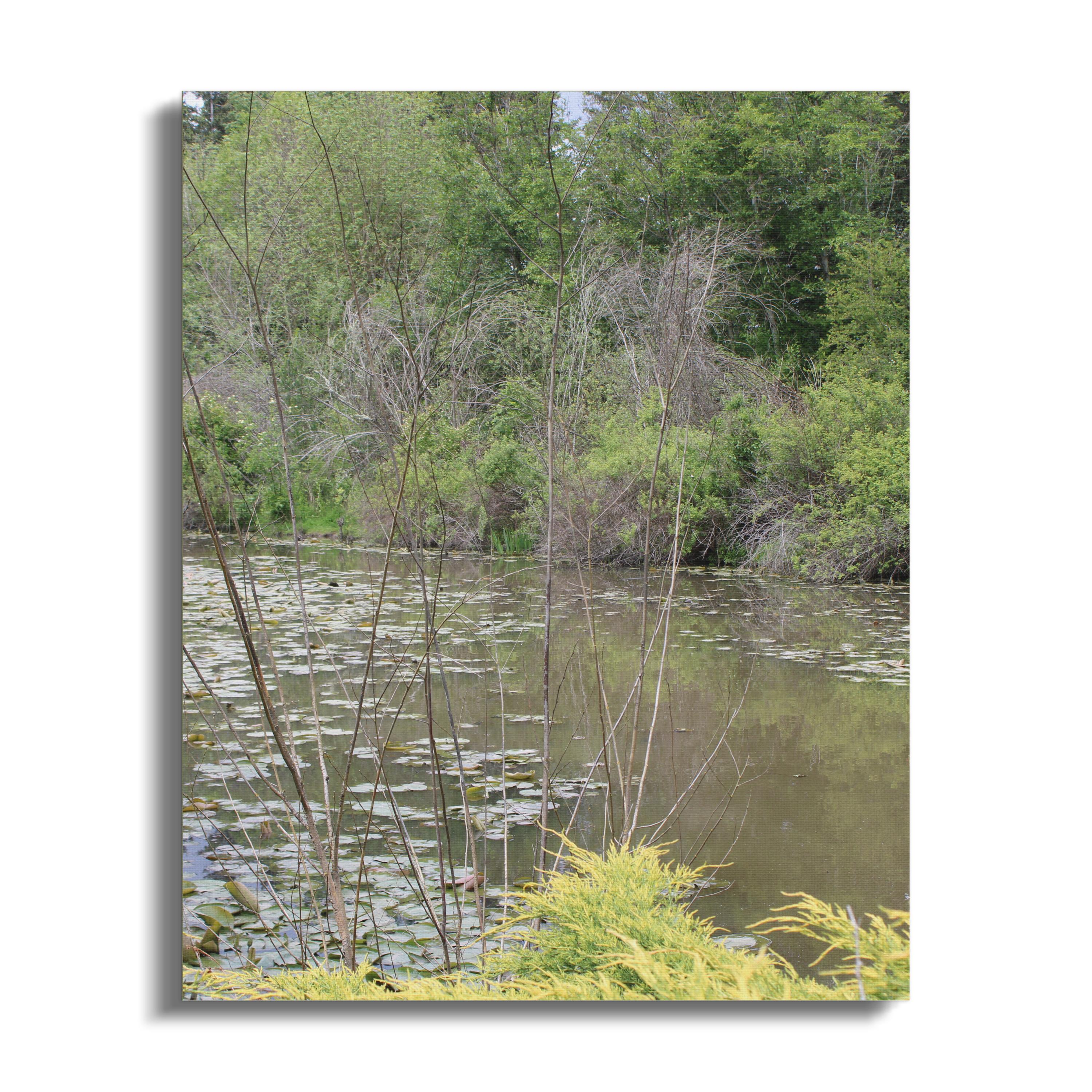 Serene Forest Lake with Lily Pads Canvas Art product type