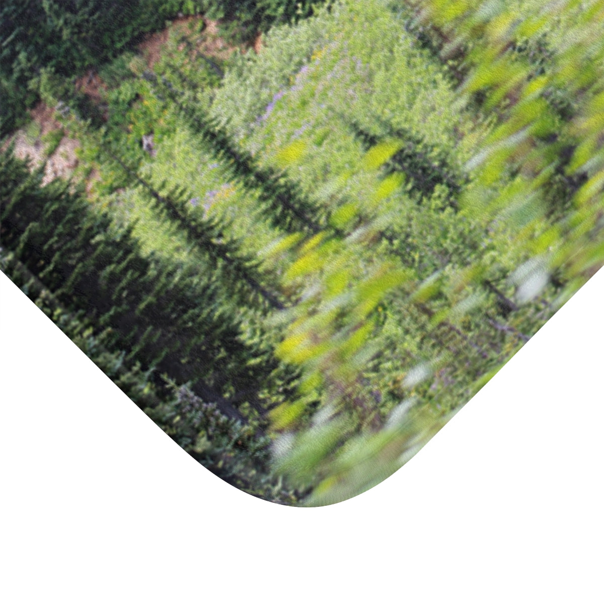 Beautiful Green Forest Scenic View Artwork