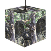 Raccoon tree hollow nature scene wildlife product type