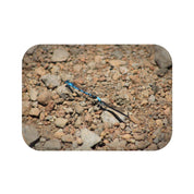 Blue Dragonfly on Rocky Terrain Nature Photography Art
