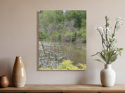 Serene Lily Pond Scene Premium Wall Art product type