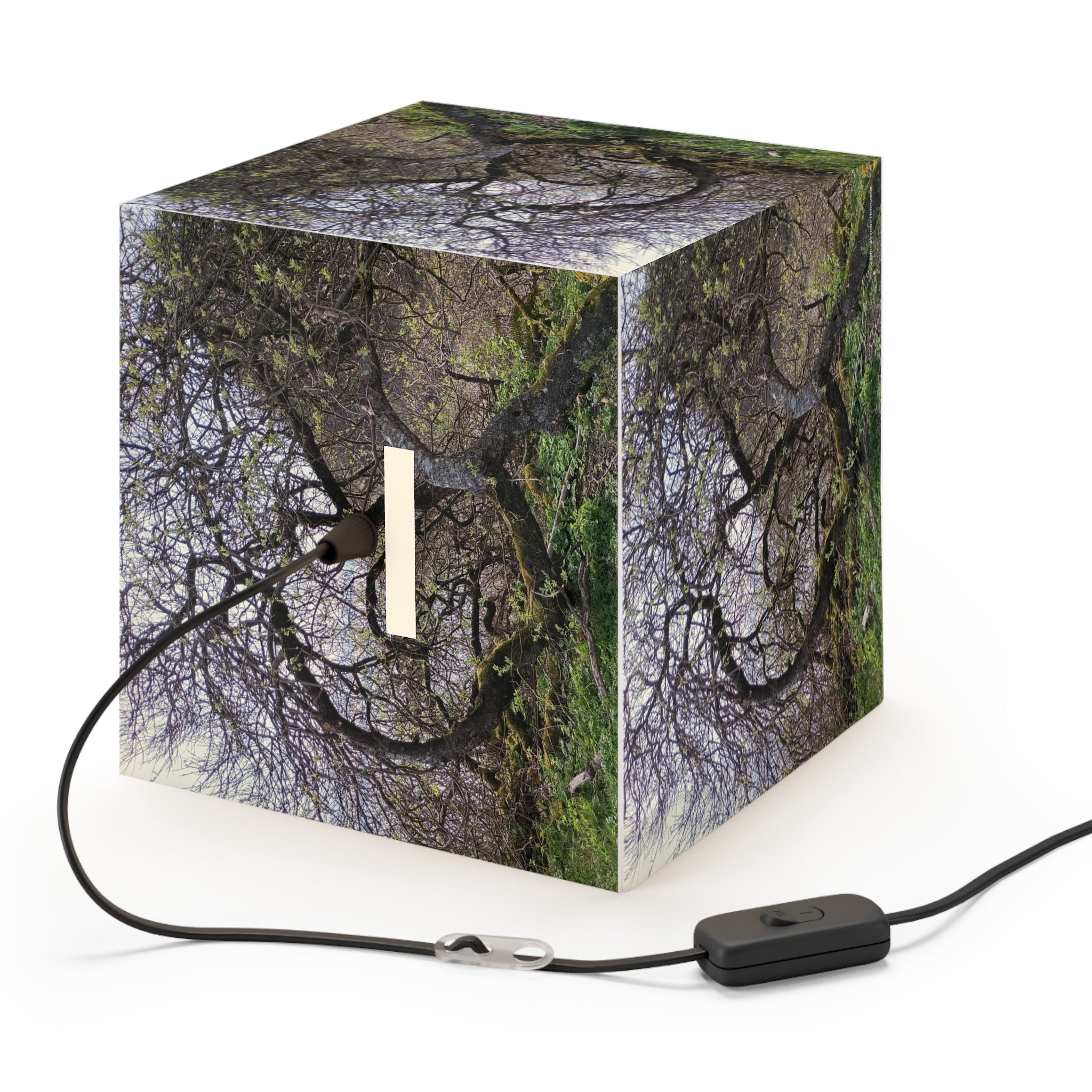 Green Leafy Tree Branches Cube Light Box product type