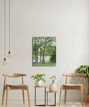 Serene Forest View Artwork for Wall Decor Product