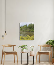 Tranquil Forest Pond Scene Wall Art product