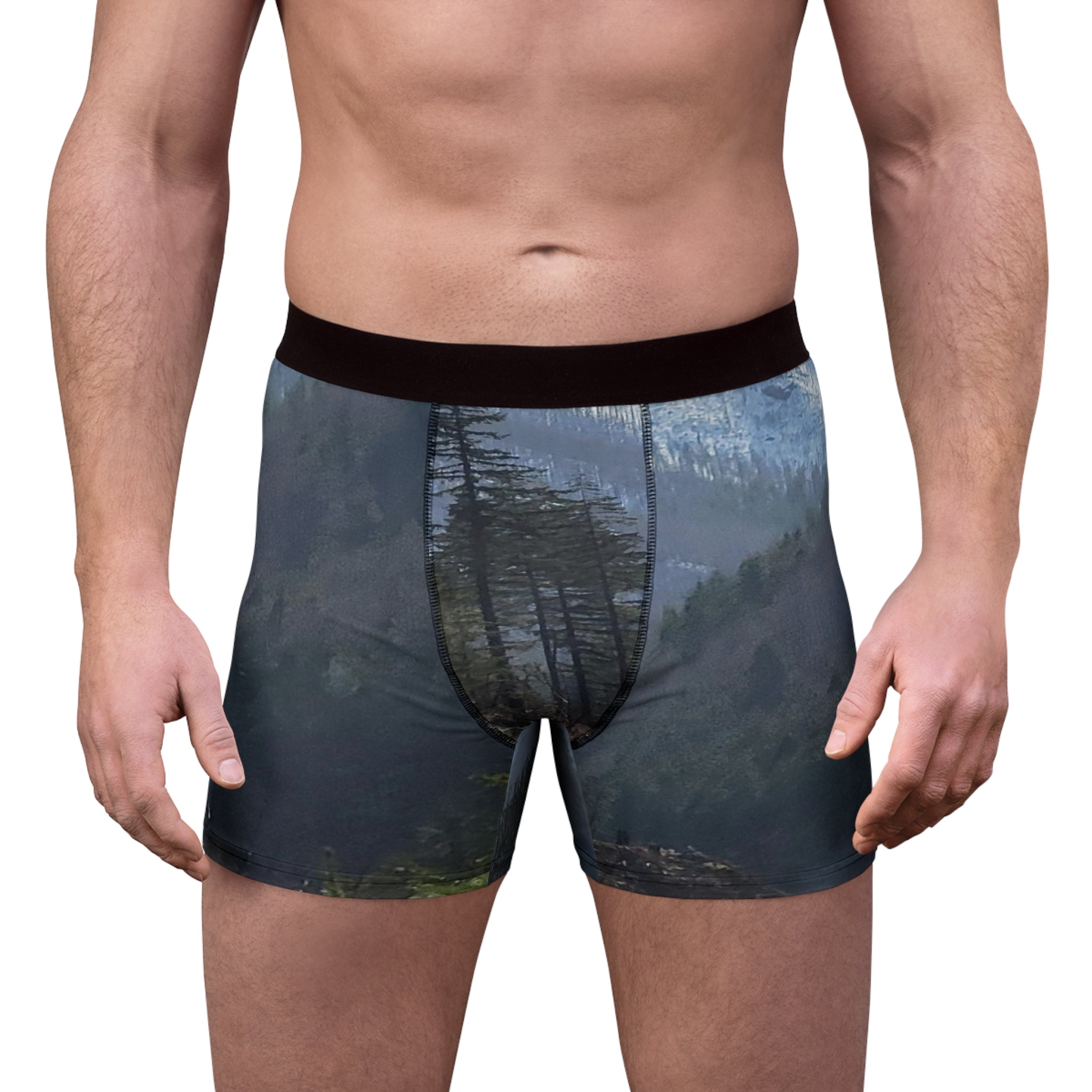 Men's boxer briefs with a forest and mountain landscape print.
