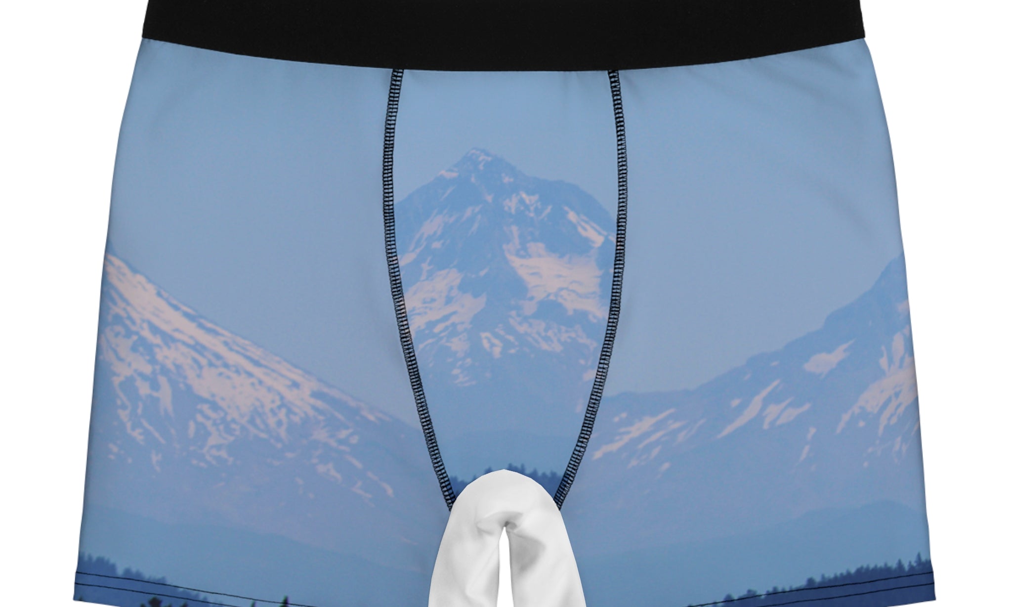Boxer briefs with a snow-capped mountain landscape pattern.