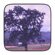 Majestic Tree Scenic View Car Sunshade Accessory