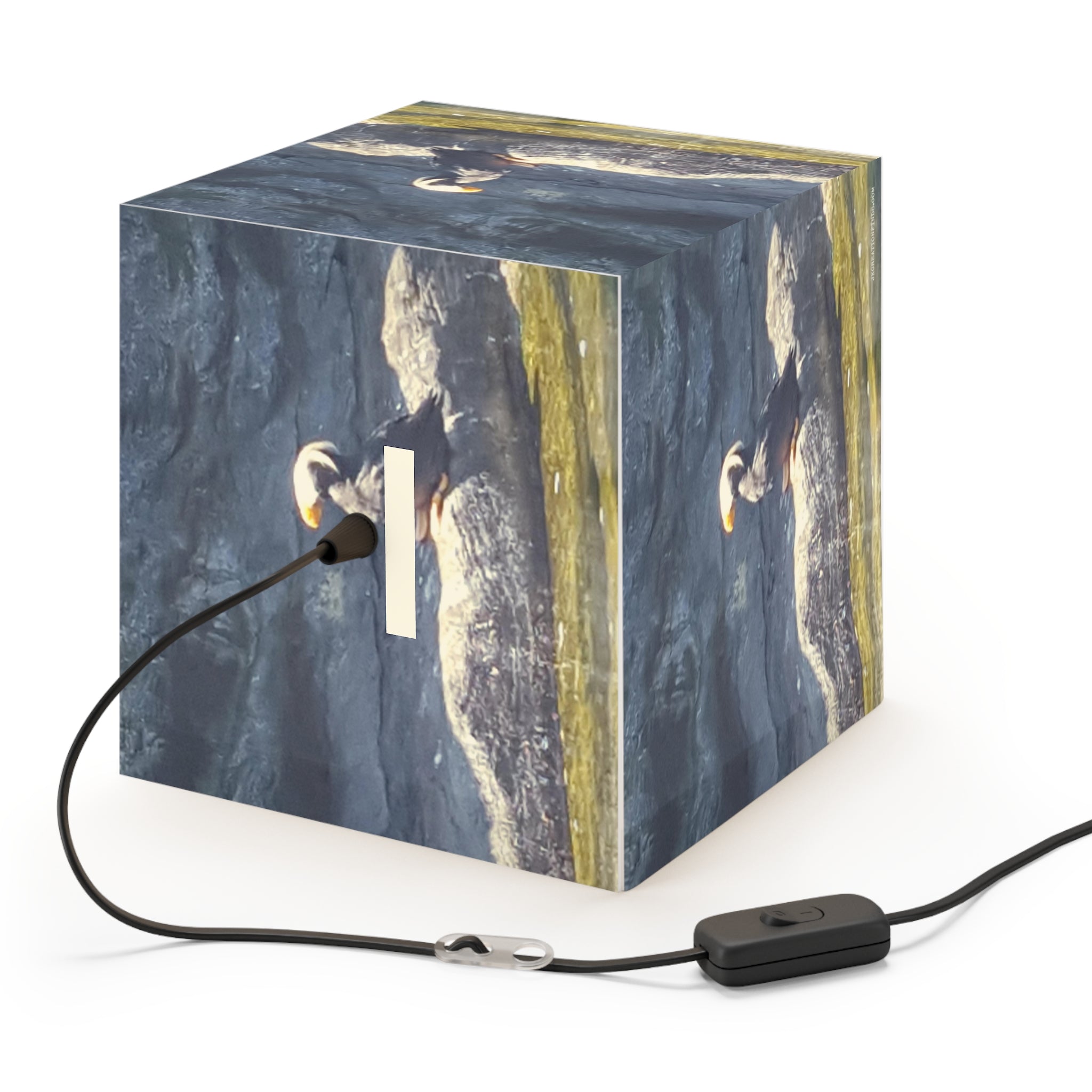 Puffin Coastal Bird Illuminated Light Cube product type