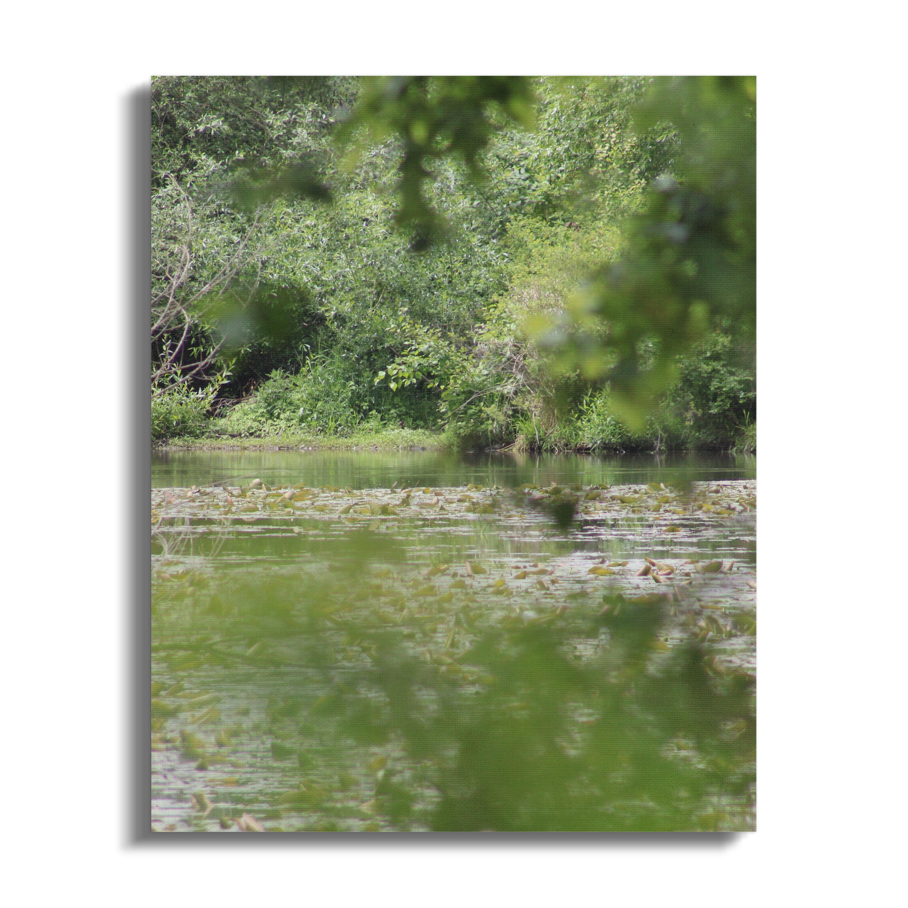 Serene Forest Pond Nature Scene Canvas product