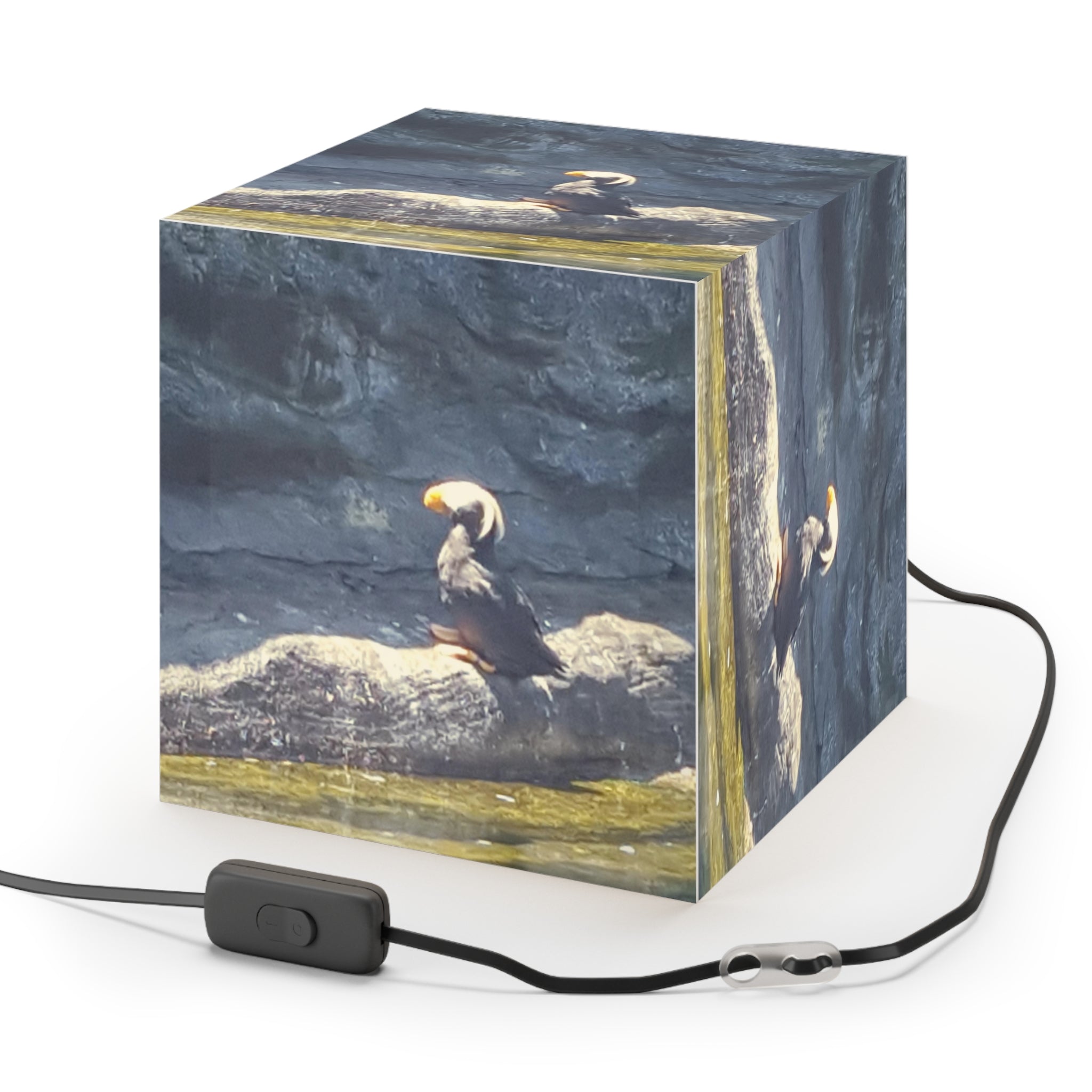 Tufted Puffin Bird Ocean Habitat Display Light Box product type