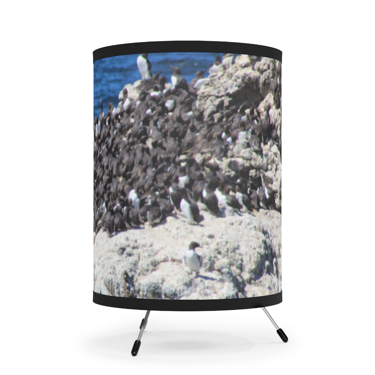 Cluster of Birds on Rocky Shoreline Lamp product