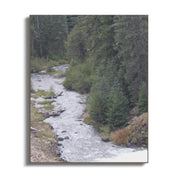 f5081938-3969-4408-9bd2-e1cca22b8177