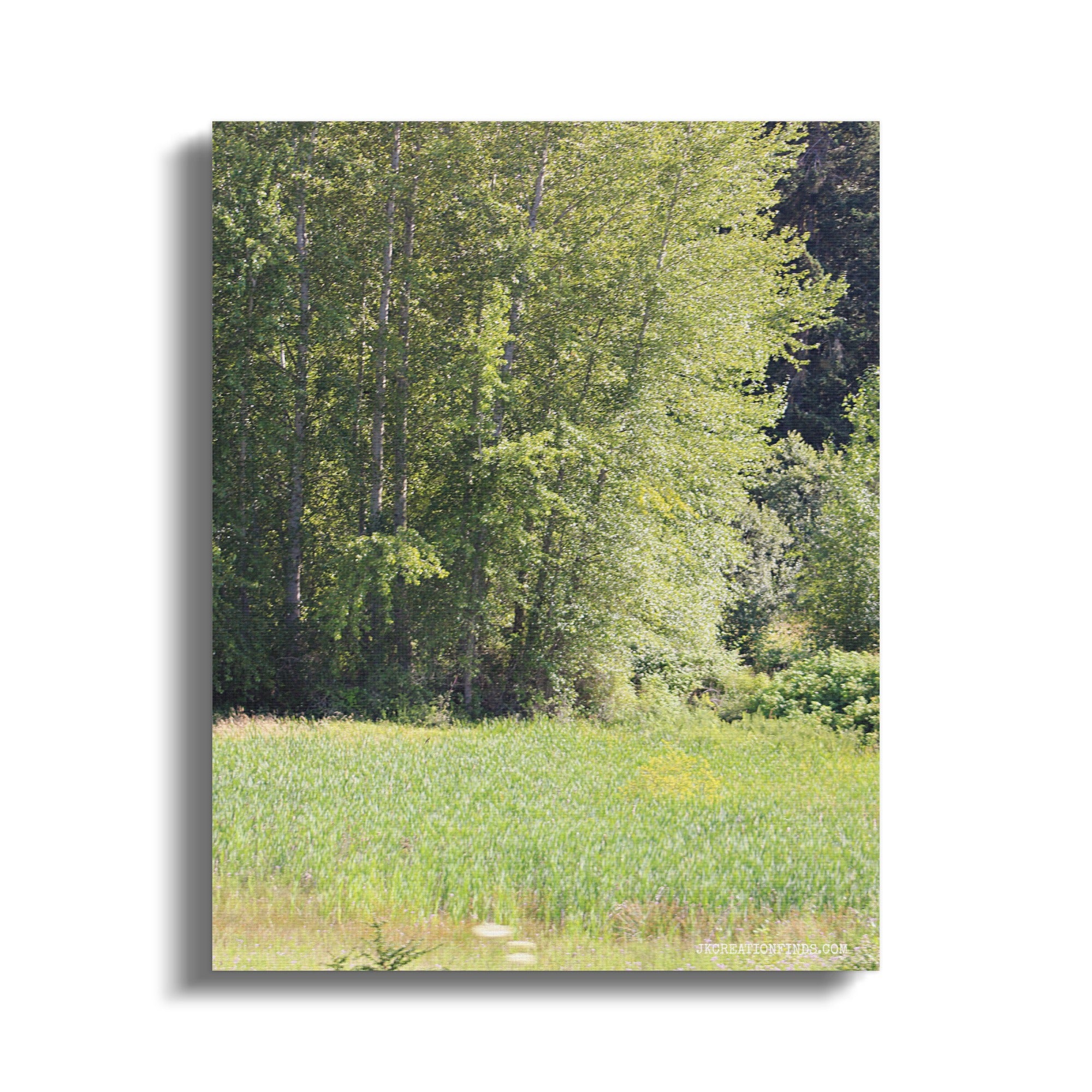 Serene Forest and Lush Meadow Nature Canvas product